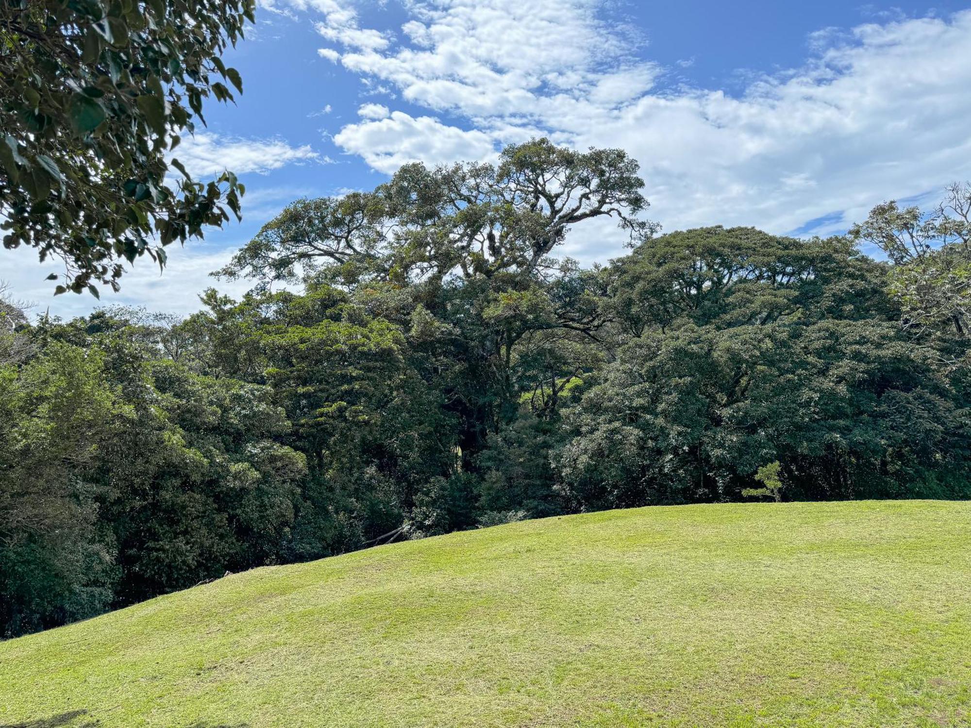 Casa Rayo De Luna Monteverde Екстер'єр фото