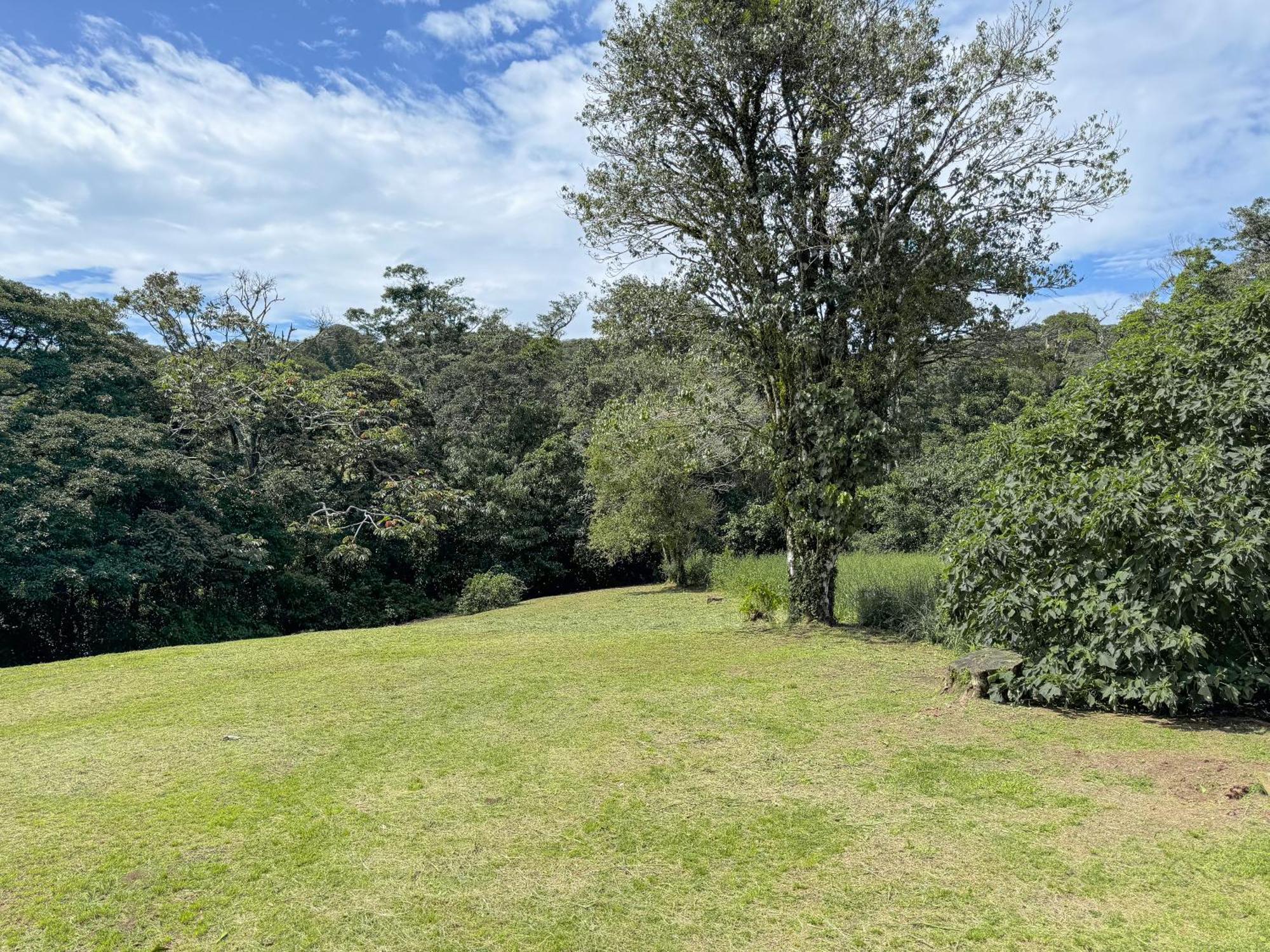 Casa Rayo De Luna Monteverde Екстер'єр фото