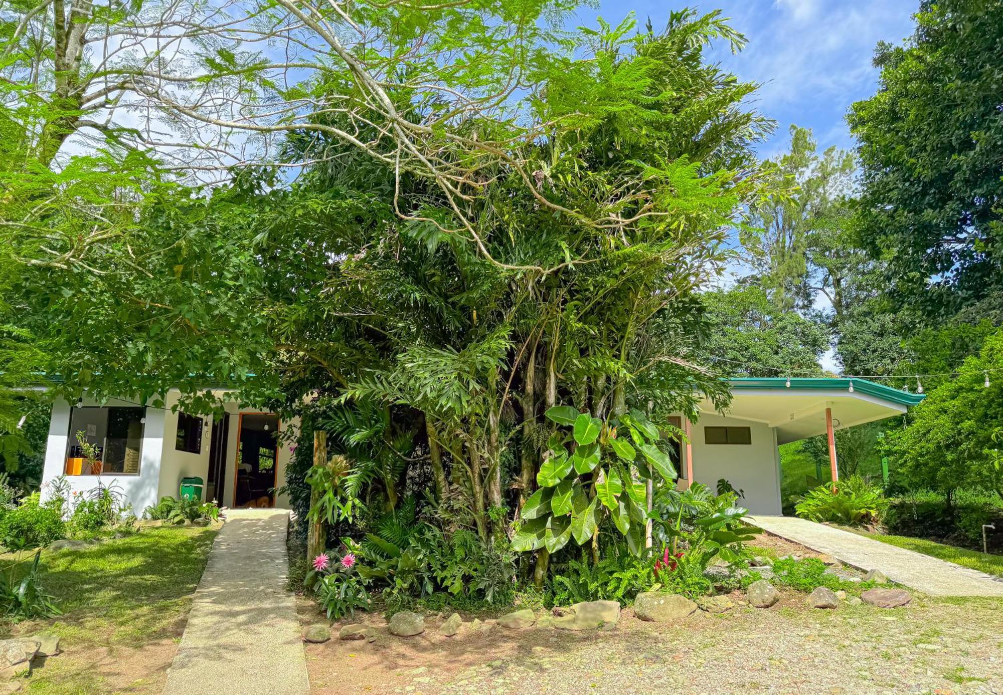 Casa Rayo De Luna Monteverde Екстер'єр фото