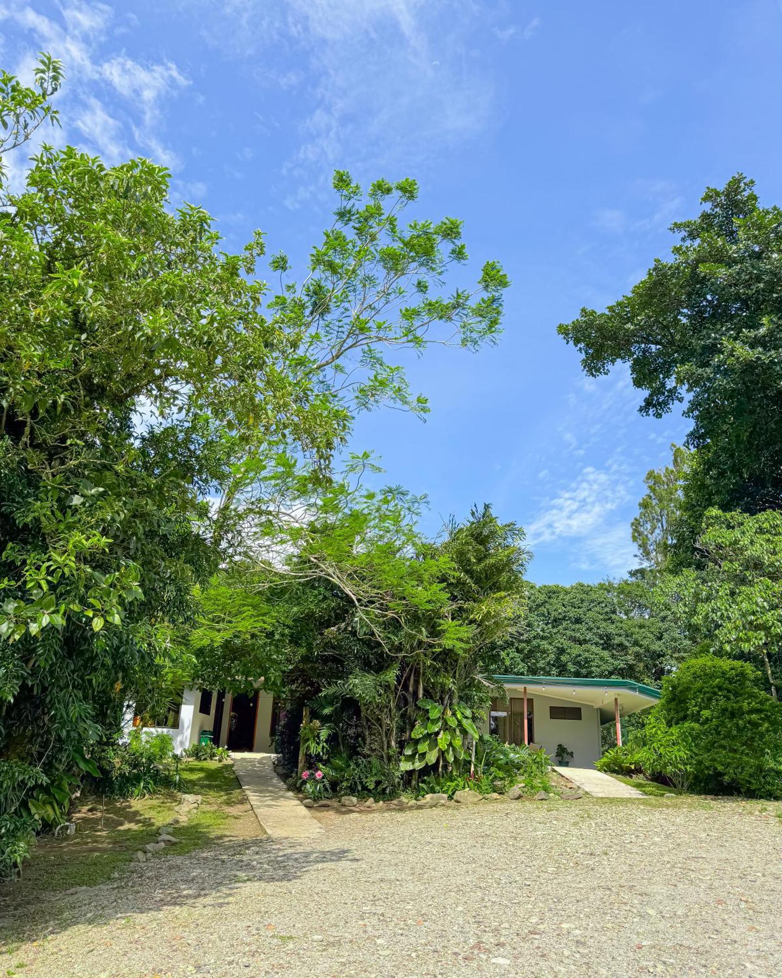 Casa Rayo De Luna Monteverde Екстер'єр фото