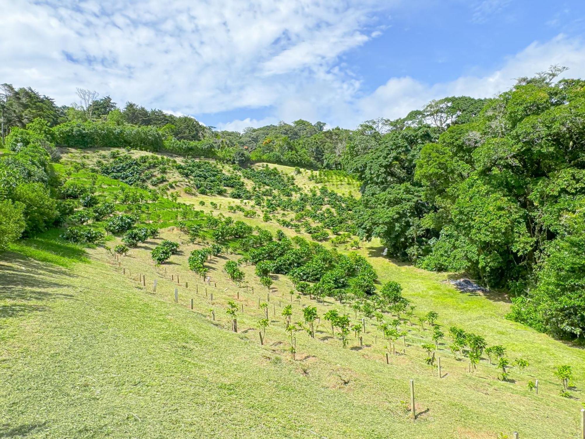 Casa Rayo De Luna Monteverde Екстер'єр фото